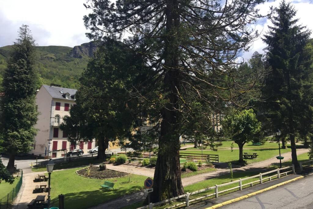 Cocon De La Vallee D'Ossau , Veritable Havre De Paix - 4 A 6 Pers Eaux-Bonnes Exteriér fotografie